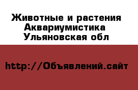 Животные и растения Аквариумистика. Ульяновская обл.